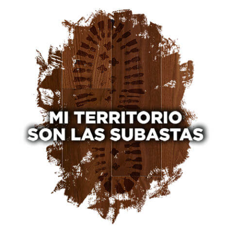 mi-territorio-son-las-subastas