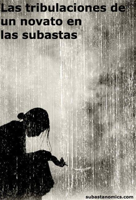Novato subastas judiciales