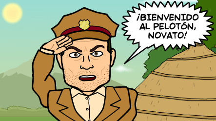 Novato en las subastas judiciales