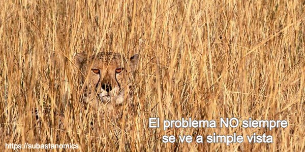 El check kist es imprescindible porque el problema NO siempre se ve a simple vista