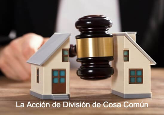 La acción de división de cosa común
