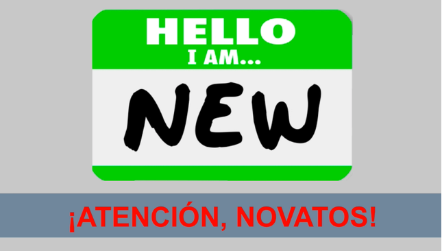 Novatos en las subastas de Hacienda